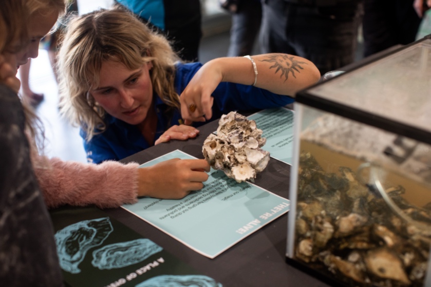 A Place of Oysters; a collaboration with NORPA, OzFish, Richmond Riverkeeper and InGrained Foundation.