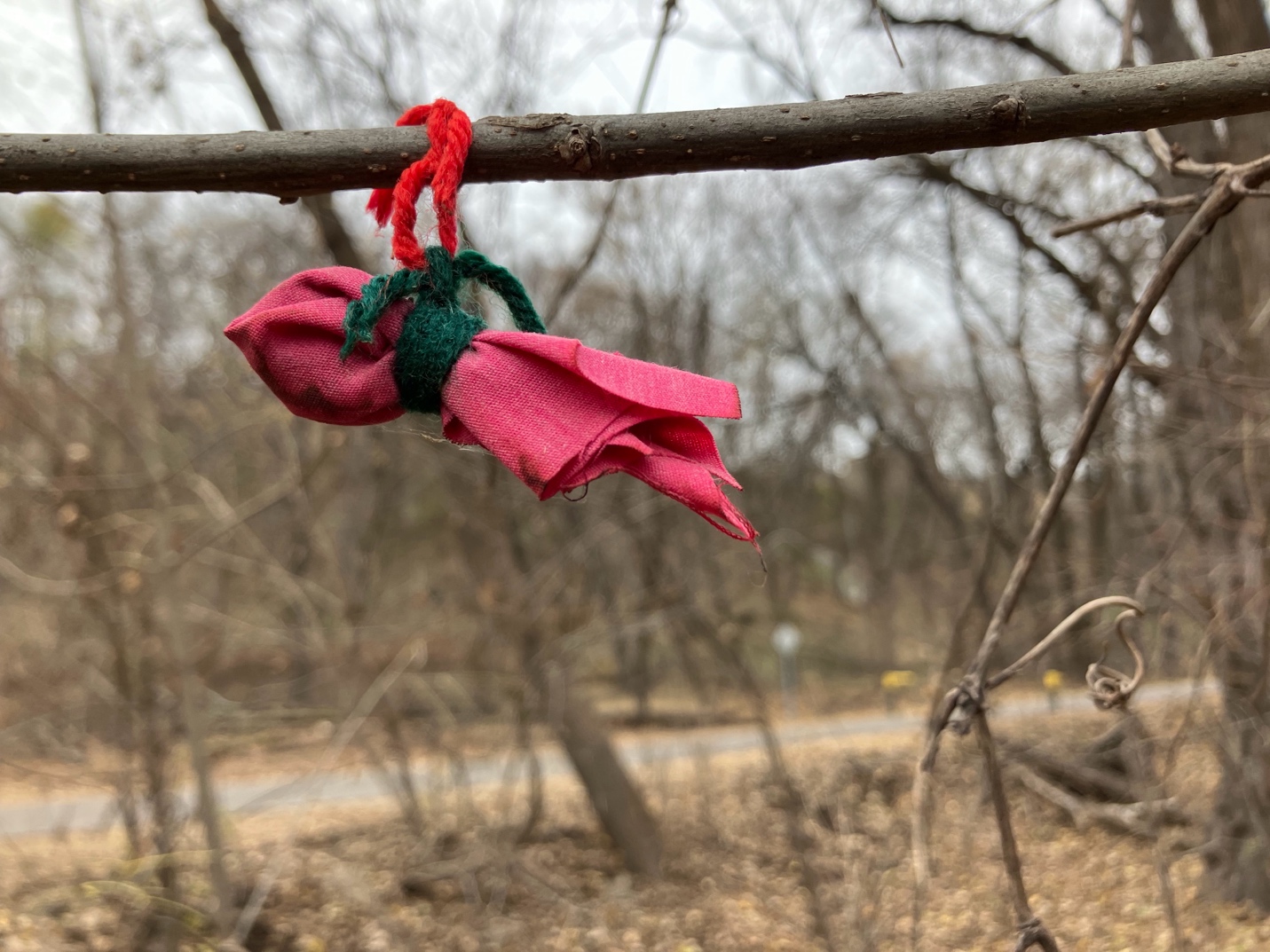 A pink fabric tied to a branch

AI-generated content may be incorrect.
